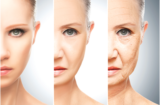 The Science of Aging – Skin Science Aesthetics