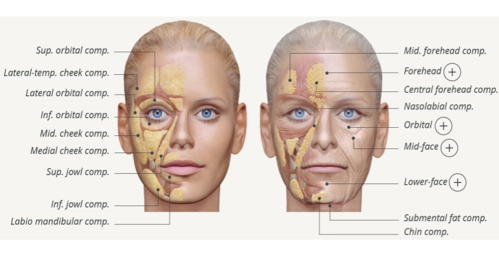 As Our Skin Sags With Age, So Do Our Bones : NPR