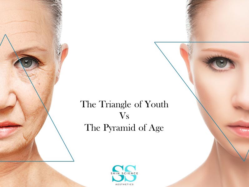 The Science of Aging – Skin Science Aesthetics  Tallahassee Skin Care